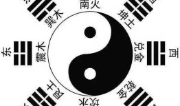 八卦爆料集合视频大全,视频大全揭秘娱乐圈幕后风云